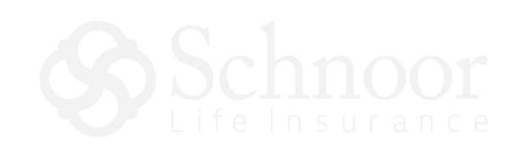 AnyConv.com__Schnoor